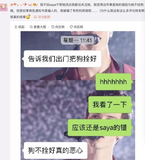 网红秃崽吃瓜视频观看网站,揭秘网红热门视频背后的秘密  第1张